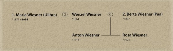 Stammbaum der Familie Wiesner/ Rodokmen rodiny Wiesnerových